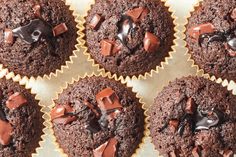 several chocolate cupcakes with chocolate chips on top