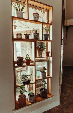 several potted plants are arranged on shelves in the corner of a room that is painted white