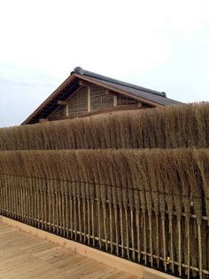 there is a fence that has some plants growing on it