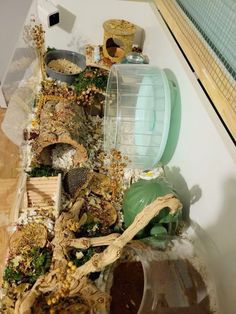 an assortment of birds in a cage on top of a wooden floor next to a bird feeder