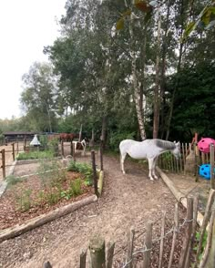 there is a horse that is standing in the fenced off area next to trees