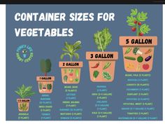 an info sheet with different types of vegetables