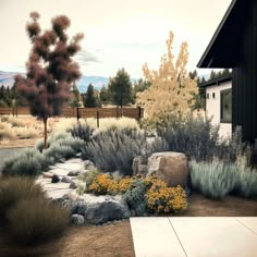 an artistic rendering of a desert garden with rocks and flowers in the foreground, near a house