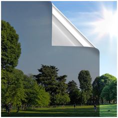 an image of people in the park with trees and sun shining on them as if they were looking for something to eat