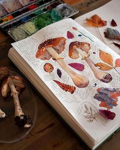 an open book sitting on top of a wooden table next to mushrooms and acorns