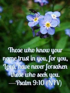 blue flowers with the words those who know your name trust in you, for you, lord have never forgotten those who seek you