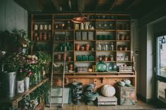 a room filled with lots of potted plants and vases on top of shelves