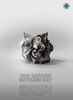 a cat made out of crumpled paper with the words vuoi davero buttarmi via?