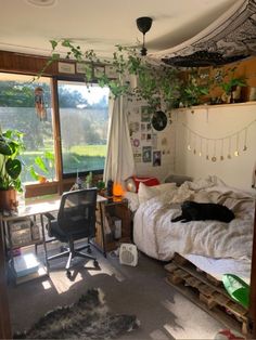 a room with a bed, desk and window that has plants growing on the wall