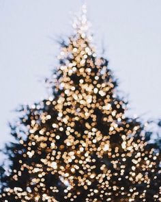 a large christmas tree with lights on it