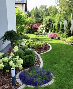 a garden with green grass and purple flowers