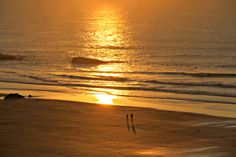 two people are walking on the beach at sunset or sunrise, while the sun is setting