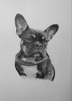 a black and white drawing of a dog with a collar on it's neck