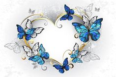 a heart shaped frame with blue butterflies