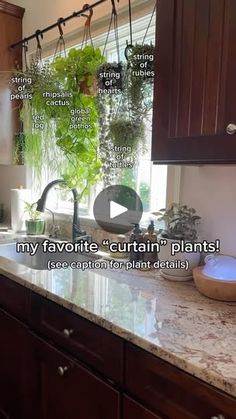 a kitchen with wooden cabinets and marble counter tops, plants hanging from the window sill