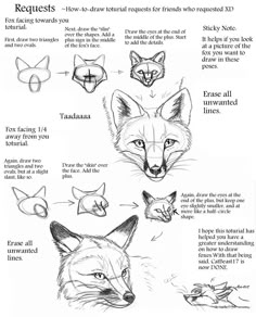 an animal's head is shown with instructions for how to draw the fox and other animals