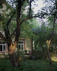 the back yard is surrounded by trees and grass