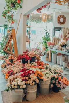 many potted flowers on display in a flower shop