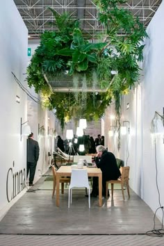 a man sitting at a table in front of a green plant hanging from the ceiling