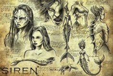 an old paper with some drawings on it, and the words siren written in black ink