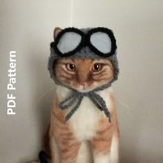 a cat wearing a knitted hat and goggles