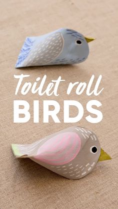 two small birds sitting on top of a floor next to each other with the words toilet roll birds above them