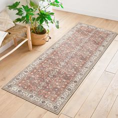 a large rug is on the floor next to a potted plant