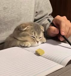 a person is writing on a notebook with a cat sleeping next to them and holding a pen