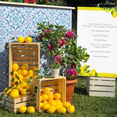 lemons are stacked on crates in front of a sign and flower potted plant