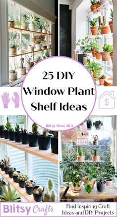 the 25 diy window plant shelf ideas