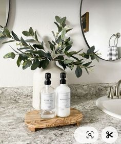 a bathroom counter with two bottles and a plant on it