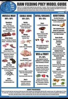 the raw feeding prey model guide is shown in blue and white, with information about how to