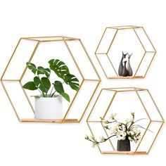 three gold hexagonal shelves with plants and vases