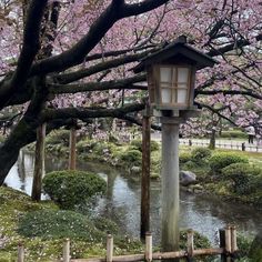 a lantern in the middle of a park with pink flowers on trees and water behind it