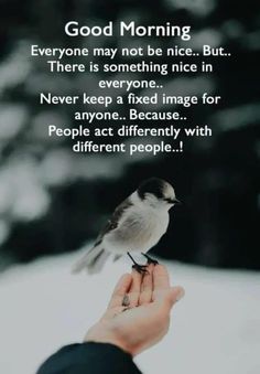 someone holding a bird in their hand with the quote good morning everyone may not be nice but