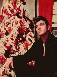 a man sitting in front of a christmas tree