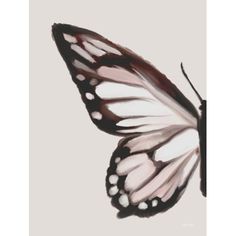 a white and black butterfly flying in the sky