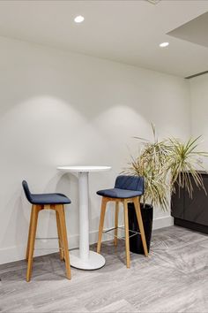 two blue chairs and a white table in an office setting with potted plants on the floor