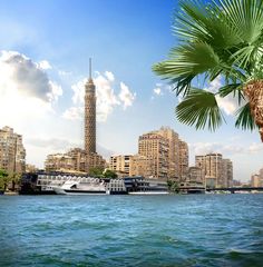 a large body of water with buildings in the background and a palm tree near by