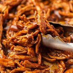 a plate full of shredded meat with a spoon in it