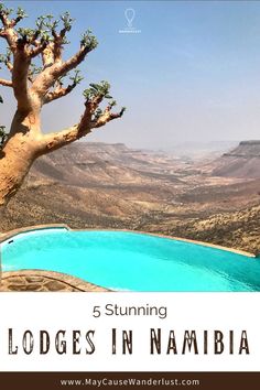 a tree with the words 5 stunning lodges in namibia on it and an image of a pool