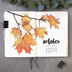 15 Cozy Bullet Journal Layouts Perfect For Fall - Nikola Kosterman Bullet Journal Month, Bullet Journal Page, Bullet Journal 2020, Bullet Journal 2019, Album Journal, Bullet Journal Cover Ideas, Art Quilling, Bullet Planner