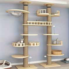 a cat tree in the corner of a room