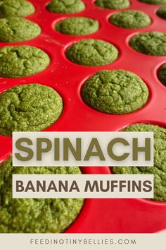 Spinach banana muffins fresh out of the oven Abc Muffins Baby, Spinach Cupcakes, Baby Led Weaning Muffins, Spinach Banana Muffins, Baby Led Weaning Breakfast, Baby Muffins, Easy Baby Food, Easy Toddler Meals, Led Weaning Recipes