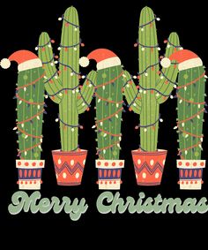 three christmas cactuses with santa hats on their heads and the words merry christmas written below them