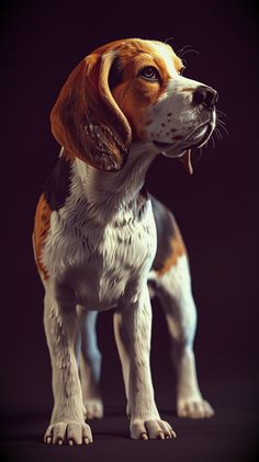 a brown and white dog standing on top of a black floor