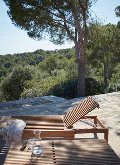 a wooden bench sitting next to a tree on top of a hillside