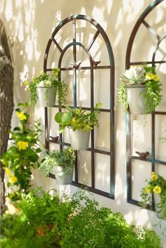 several potted plants are hanging on the side of a building with arched window panes