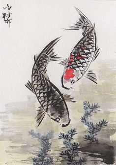 two black and white koi fish in water with red spots on their backs, one is