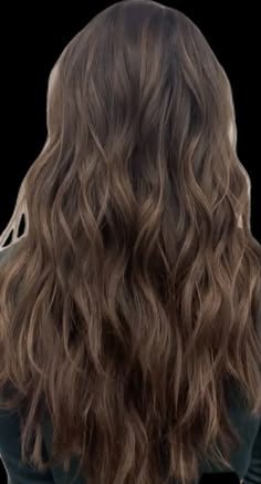 Low Maintenance Brunette Balayage, Hair Inspo Color Dark Brown, Burnett Hair, Faceframe Highlights Brunette, Dark Brown To Light Brown Balayage, Teddy Bear Brunette Hair, Medium Dark Brown Hair, Light Brunette Hair, Elsa Hair